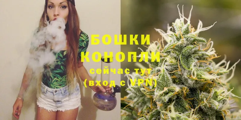 МАРИХУАНА Ganja  купить наркотик  shop клад  Лесной  МЕГА ссылки 